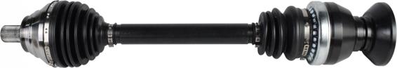 Spidan 25581 - 305774 PUSASS P-1