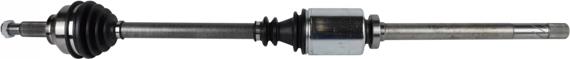 GSP 244013 - 303496 PUSASS L