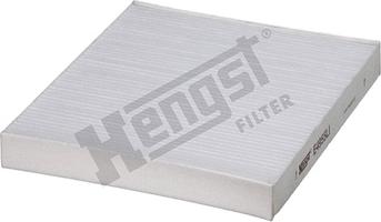 Hengst Filter E4955LI - Filtrs, Salona