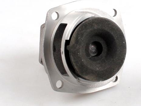 Hepu P022
