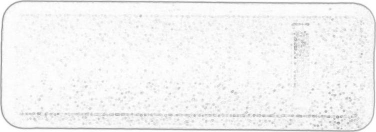 KIA-HYUNDAI 872141H000