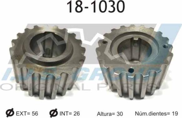 IJS GROUP 18-1030 - Zobrats, Kloķvārpsta