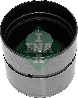 INA 420007310