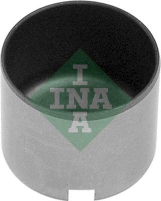INA 421 0041 10 - Bīdītājs