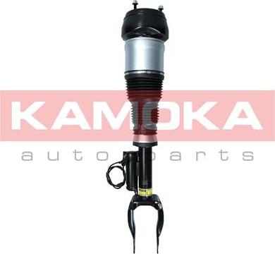 Kamoka 2070003 - Pneimoatsperes statnis