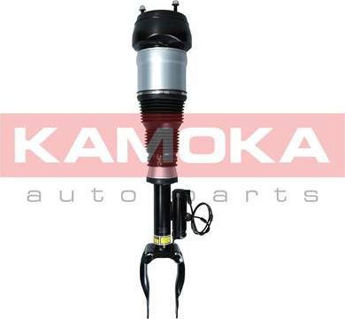 Kamoka 2070004 - Pneimoatsperes statnis