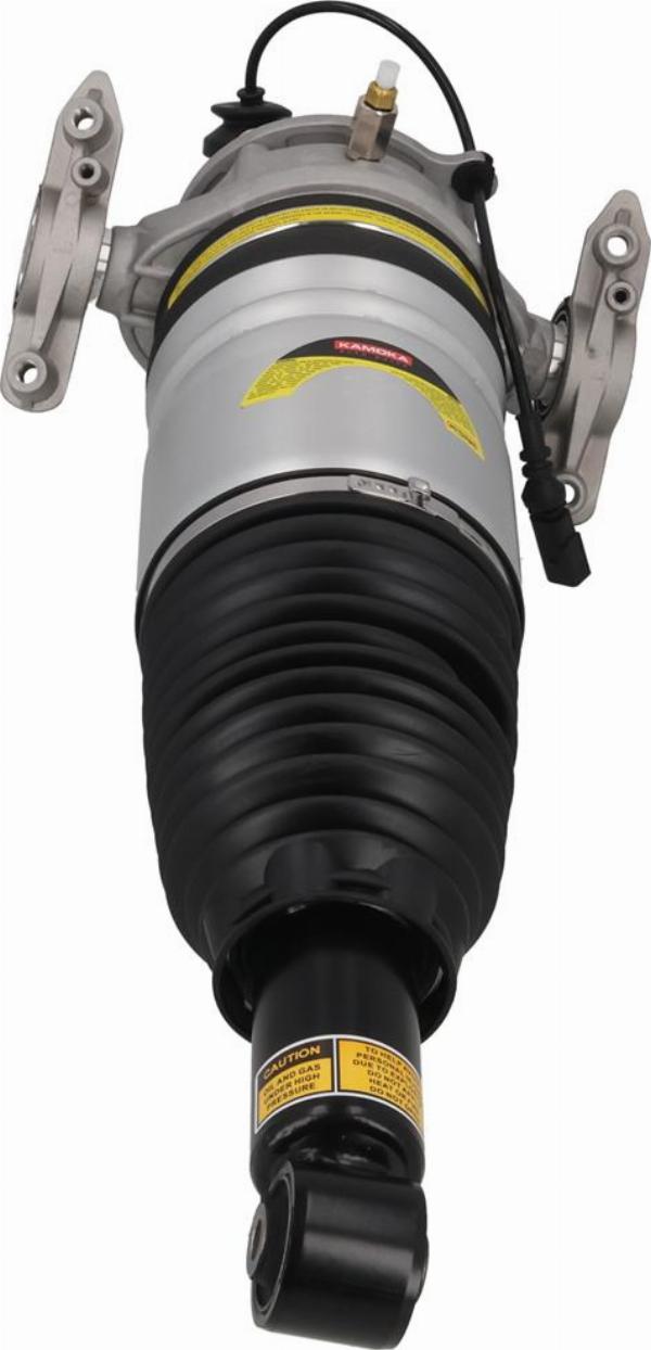 Kamoka 2070031 - Pneimoatsperes statnis
