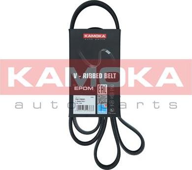 Kamoka 7017031 - Ķīļrievu siksna