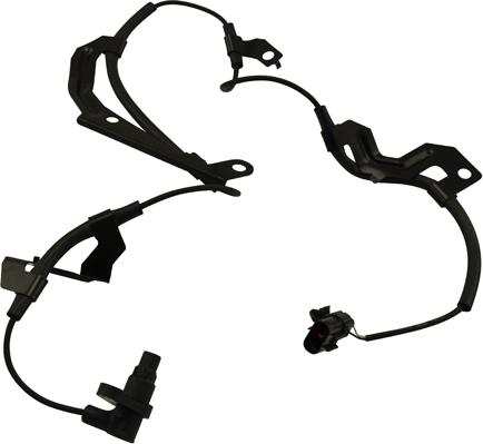 Kavo Parts BAS-5524 - ABS DEVEJS