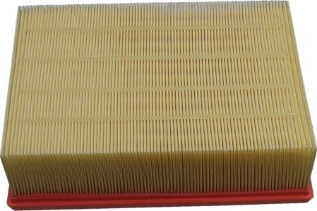 Kavo Parts FAF-10227 - GAISA FILTRS