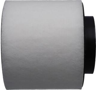 Kavo Parts FAF-10448 - Gaisa filtrs