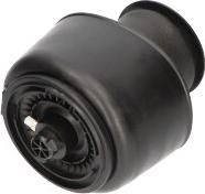 Kavo Parts SAS-10001 - PNEIMO SPILVENS