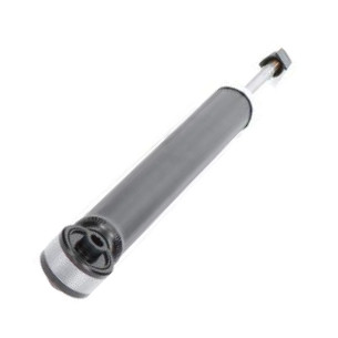 Kavo Parts SSA-10513 - Amortizators