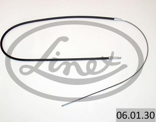 Linex 06.01.30 - Auto