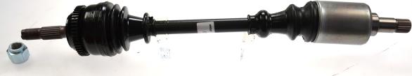 BGA DS1417L