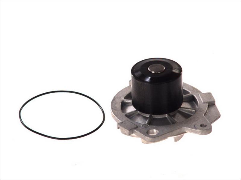 Magneti Marelli 352316170317 - WPQ0317 ŪDENS