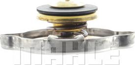MAHLE CRB17000P