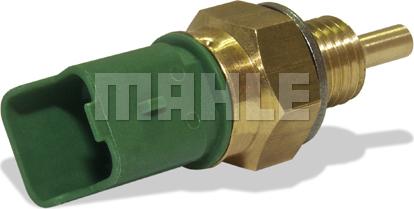 MAHLE MST1