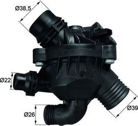 MAHLE TM3097
