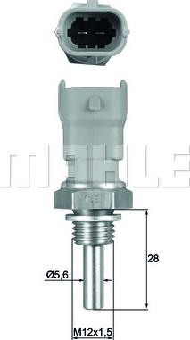 MAHLE TSE10