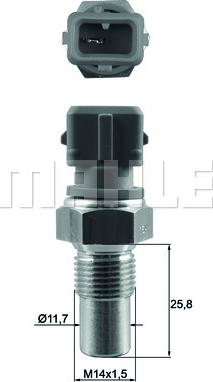MAHLE TSE20