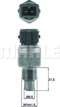 MAHLE TSE32
