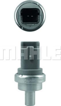 MAHLE TSE9