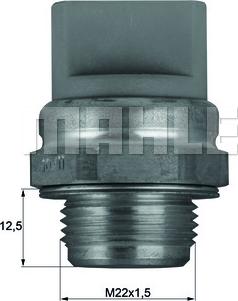 MAHLE TSW11