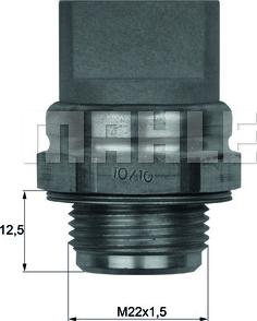 MAHLE TSW32