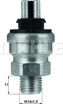 MAHLE TSW47