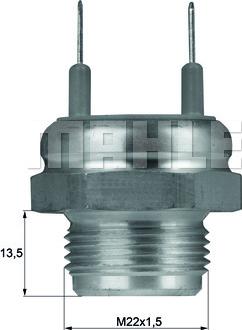 MAHLE TSW6D