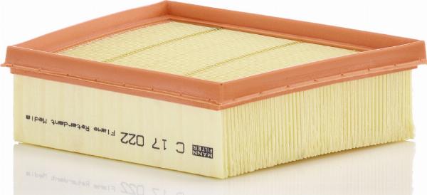 Mann-Filter C17022 - Gaisa filtrs