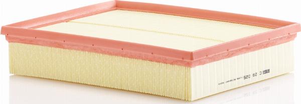Mann-Filter C29029 - Auto Part