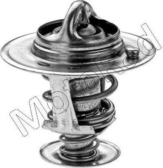 Motorad 328-77 - Termostats, Dzesēšanas šķidrums