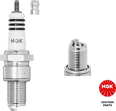 NGK 3981 - 3981 SVECE NGK