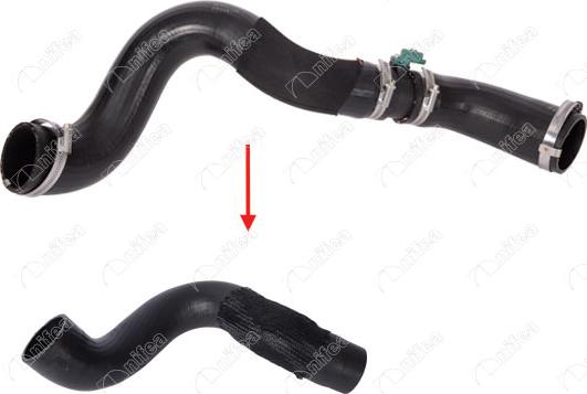 Ibras 19559 - Auto Part