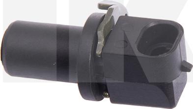NK 295001