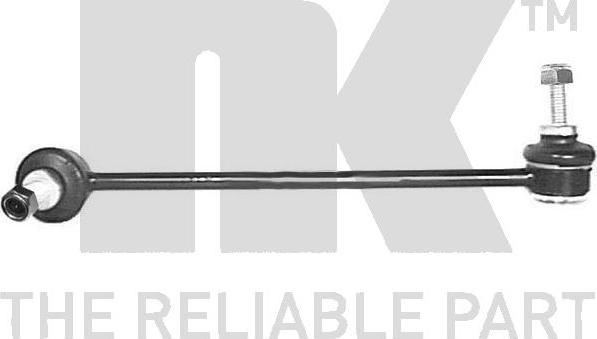 NK 5113312 - Stiepnis / Atsaite