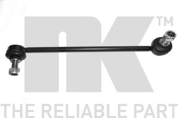 NK 5113326 - Stiepnis / Atsaite