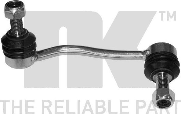 NK 5113353 - Stiepnis / Atsaite