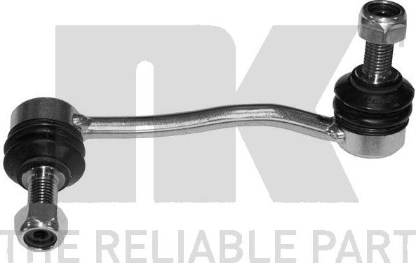 NK 5113354 - Stiepnis / Atsaite