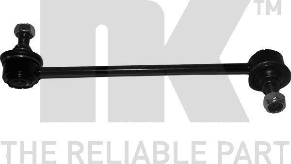 NK 5113428 - Stiepnis / Atsaite