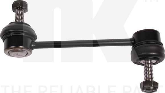 NK 5113715 - Stiepnis / Atsaite