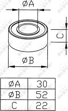 NRF 38291 - 30X52X22 GULTNIS 38291