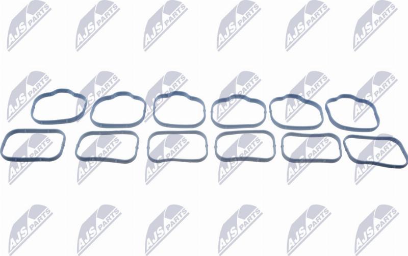 NTY BKS-CH-004B