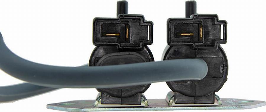 NTY EAG-MS-002