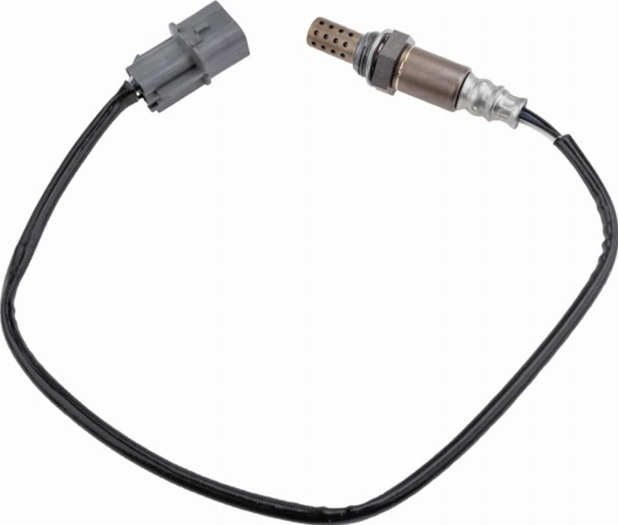 NTY ESL-MS-016