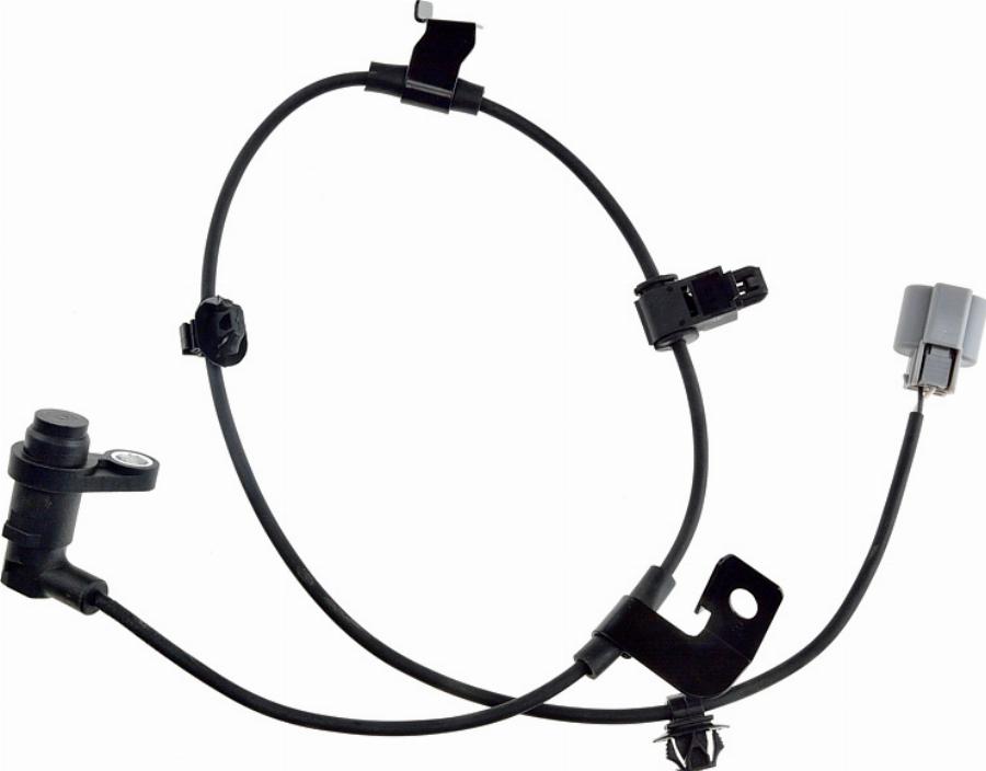 NTY HCA-MS-084