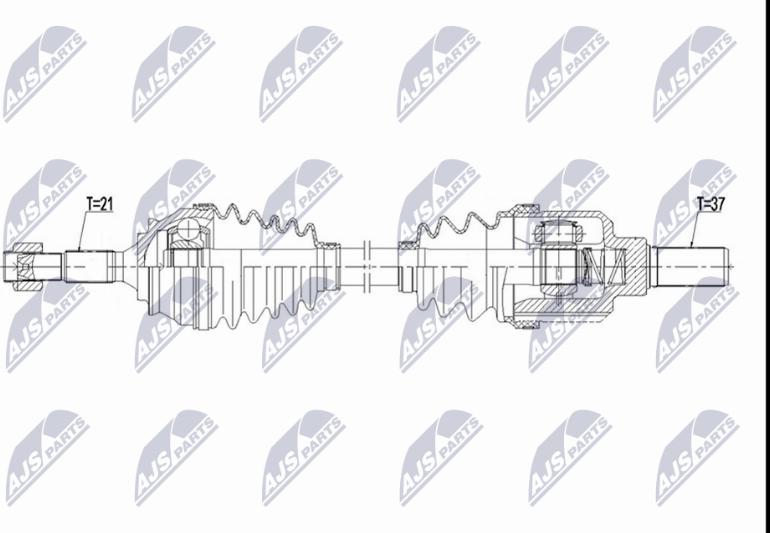 NTY NPW-CT-175