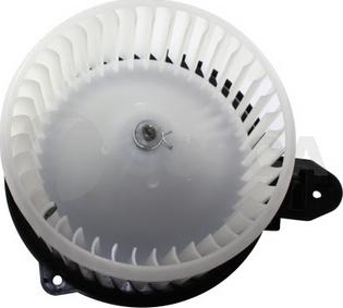 OSSCA 06343